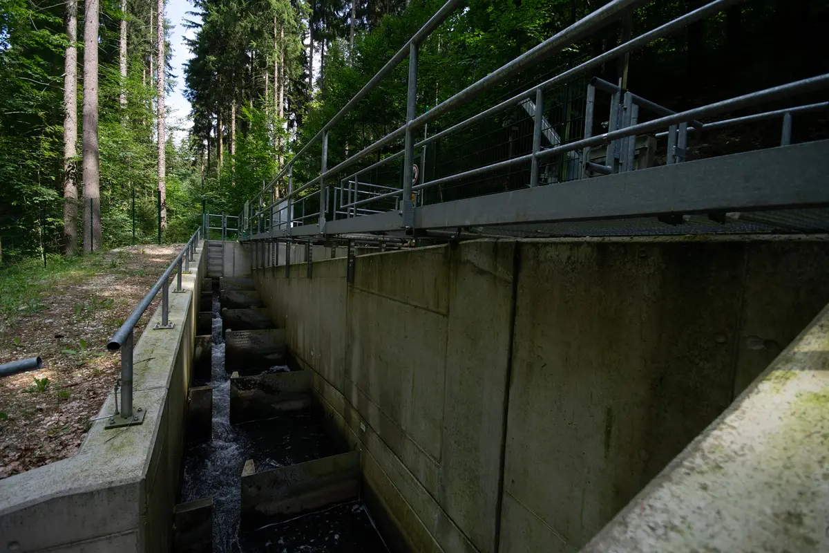 Beauftragt wurde die Errichtung einer Fischaufstiegsanlage / Fischtreppe in Königswalde