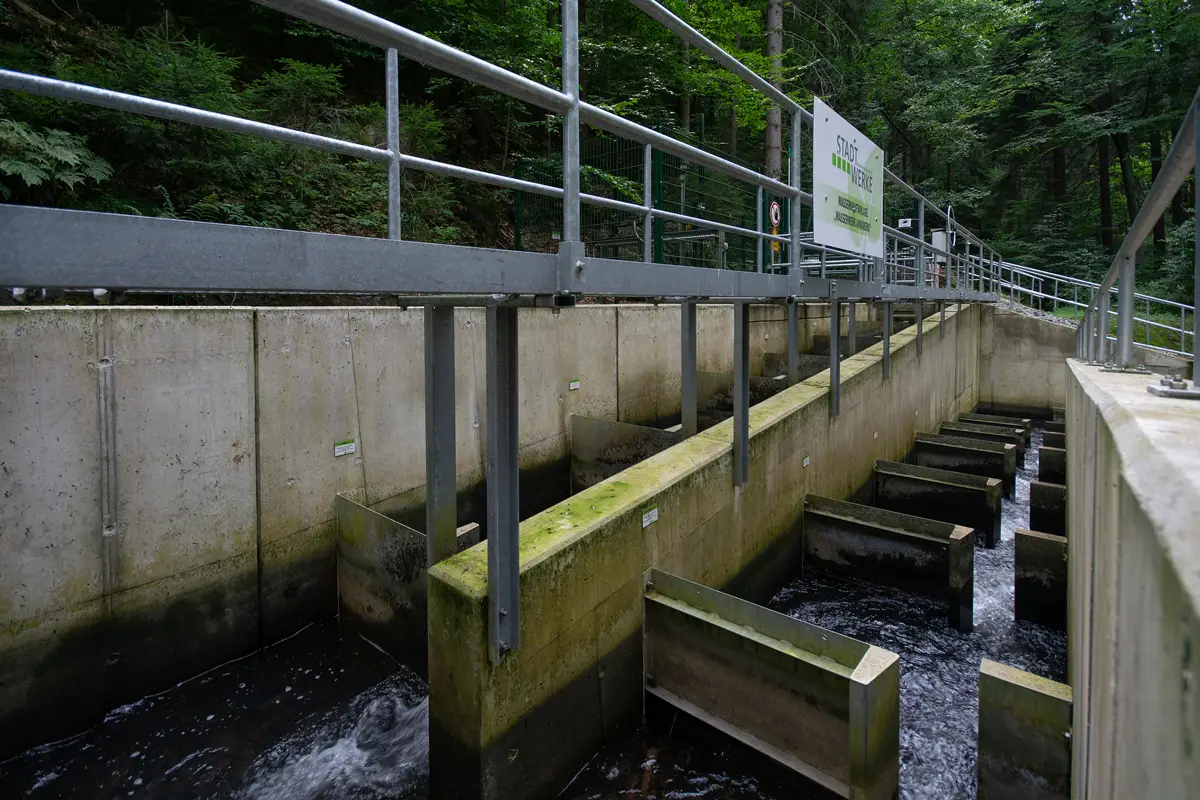 Beauftragt wurde die Errichtung einer Fischaufstiegsanlage / Fischtreppe in Königswalde